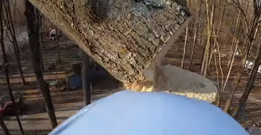 VIDEO Prepilio drvo pa nije mogao vjerovati kako se savršeno zabilo u tlo