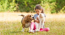 Pas ili mačka: Koji je kućni ljubimac bolji za vaše dijete?