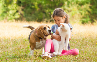 Pas ili mačka: Koji je kućni ljubimac bolji za vaše dijete?
