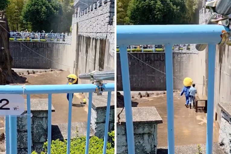 Muškarac upao u nastambu majmuna kako bi Punchu ostavio plišanog medvjedića