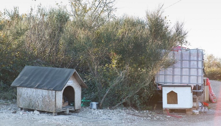 Kod ilegalnog azila na dubrovačkoj Žarkovici pronađene lešine pasa