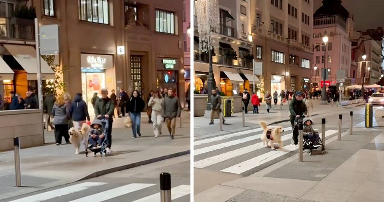 Pas u gužvi izgubio vlasnicu iz vida. Pogledajte kako je reagirao kada ju je pronašao