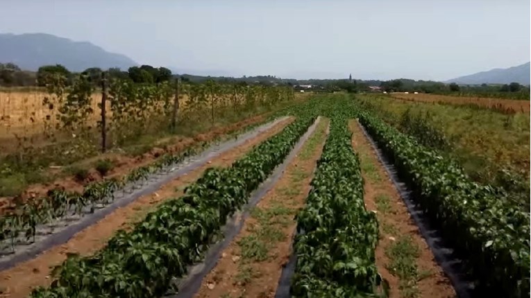 Velika suša pogodila dio Slovenije, ljudi ne smiju prati dvorišta ni puniti bazene