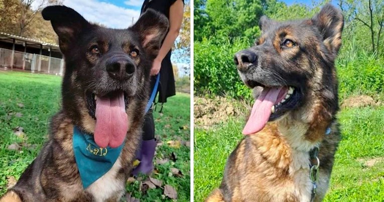 Kan je dvaput vraćen u sklonište, pomozimo mu da pronađe udomitelje kakve zaslužuje