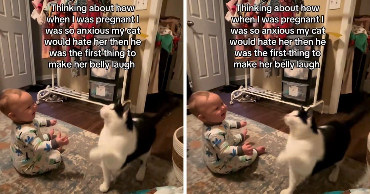 Mama se bojala kako će mačak reagirati na bebu. On bio prvi koji ju je jako nasmijao