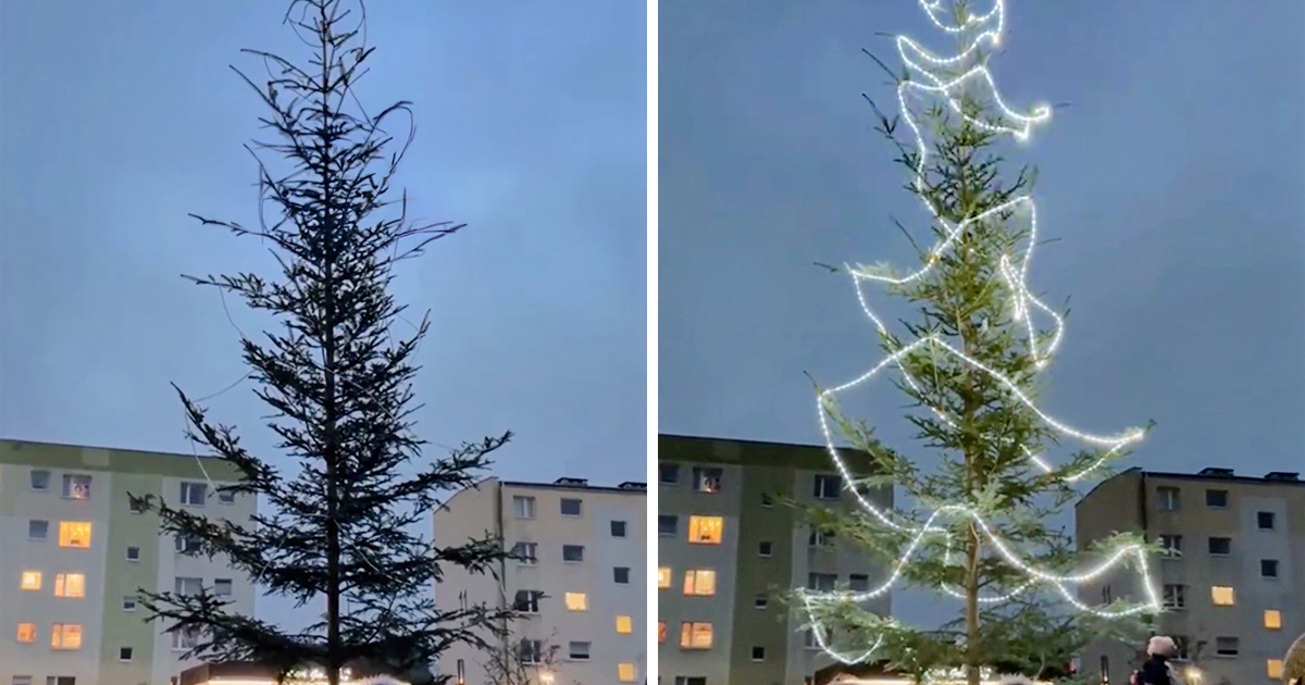 3.2 milijuna pregleda: Božićno drvce u Poljskoj je hit na TikToku