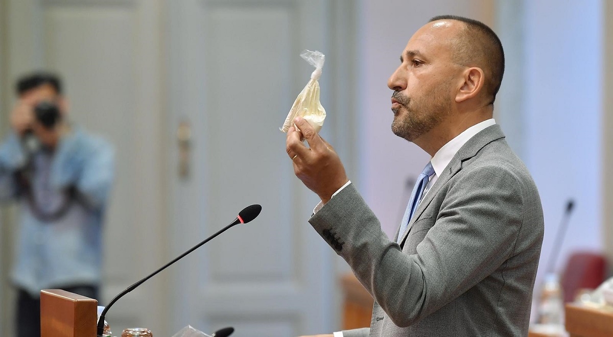 Zekanović: U sabor sam donio brašno
