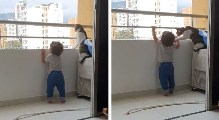 Brižna mačka zaštitila jednogodišnjaka koji je stajao opasno blizu ruba balkona