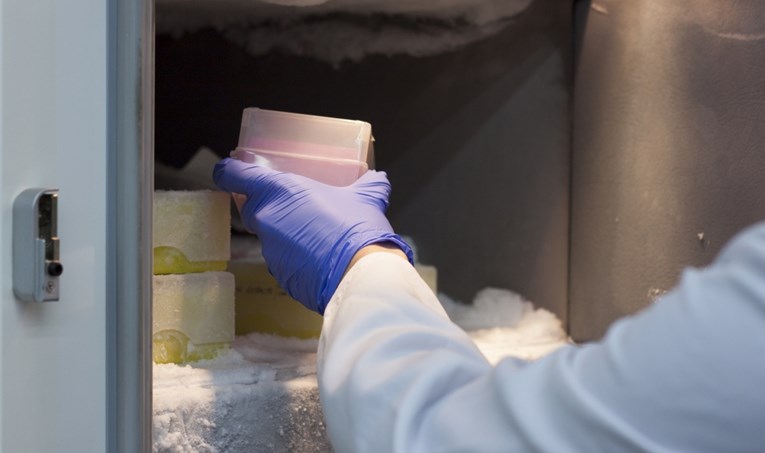 Kvar na zamrzivaču u švedskom institutu uništio je desetljeća istraživanja