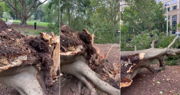 Nevrijeme u Australiji. Drvo palo na ljude u središtu Sydneyja