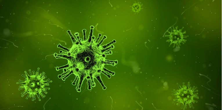 Trebamo li se bojati misterioznog kineskog virusa?
