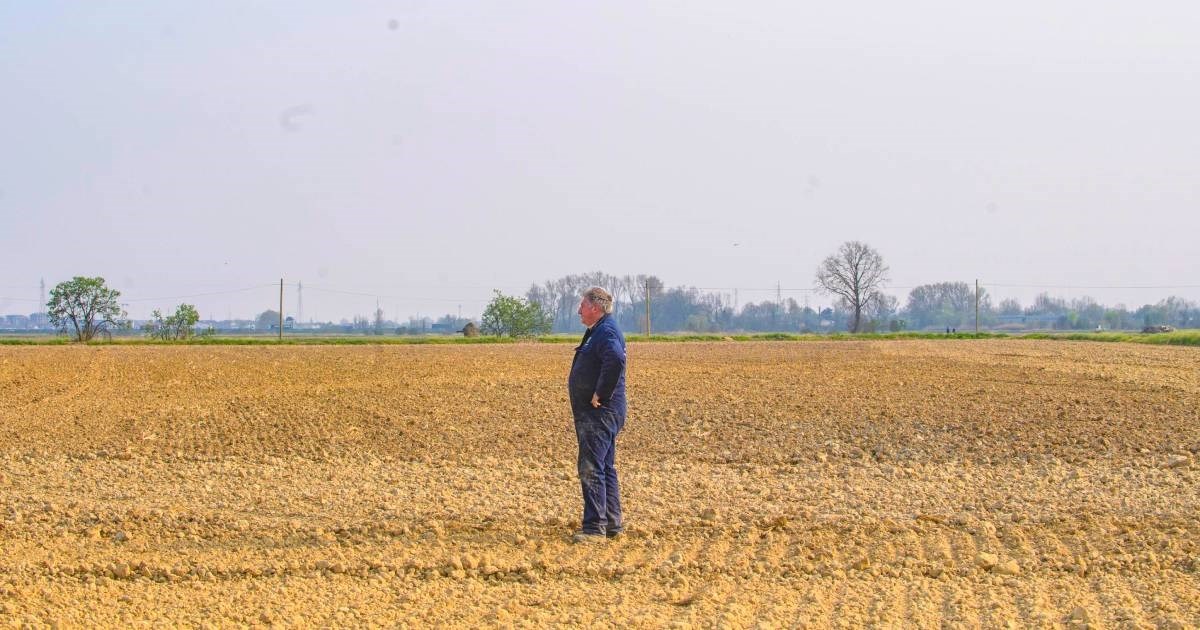 Poljoprivrednici strahuju zbog blage zime na jugu Europe: "Neke biljke već cvatu"