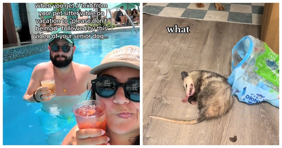 Vlasnici otišli na odmor, evo što je njihov pas donio u kuću dok ih nije bilo