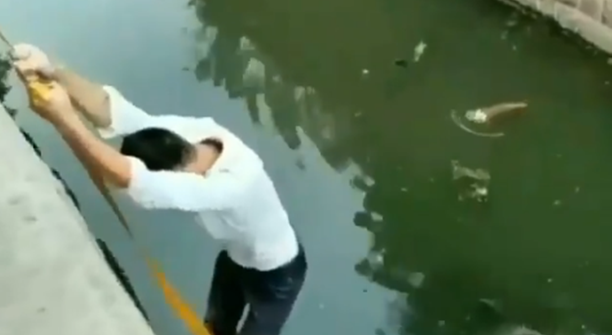 Mače upalo u kanal, a ono što je učinio ovaj mladić sve je oduševilo