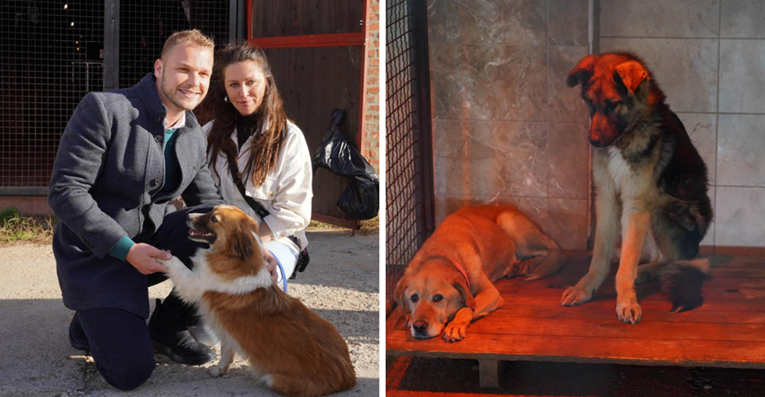 FOTO Stanivuković posjetio azil za pse u Banjoj Luci. Ove njuškice tamo čekaju dom