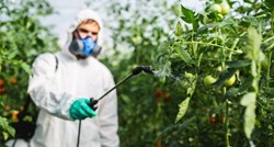 BBC: Pesticidi štete našim osjetilima, evo zašto se to događa