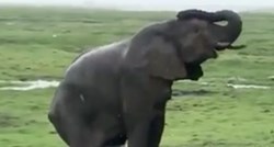 Slonica u kenijskom rezervatu okotila mladunče, video je postao viralan