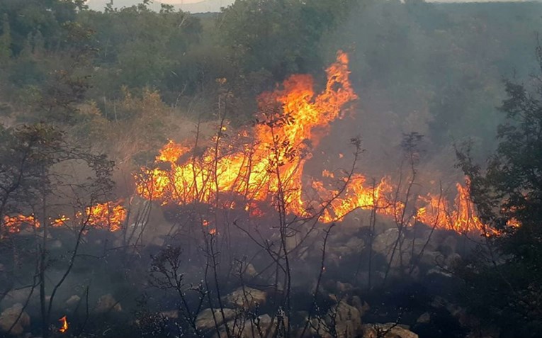 Udari munja zapalili veliki požar kod Knina: "Podigli smo sve snage"