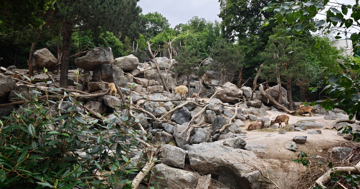 Posjetili smo najstariji ZOO vrt na svijetu. Nije nas oduševio samo zbog životinja