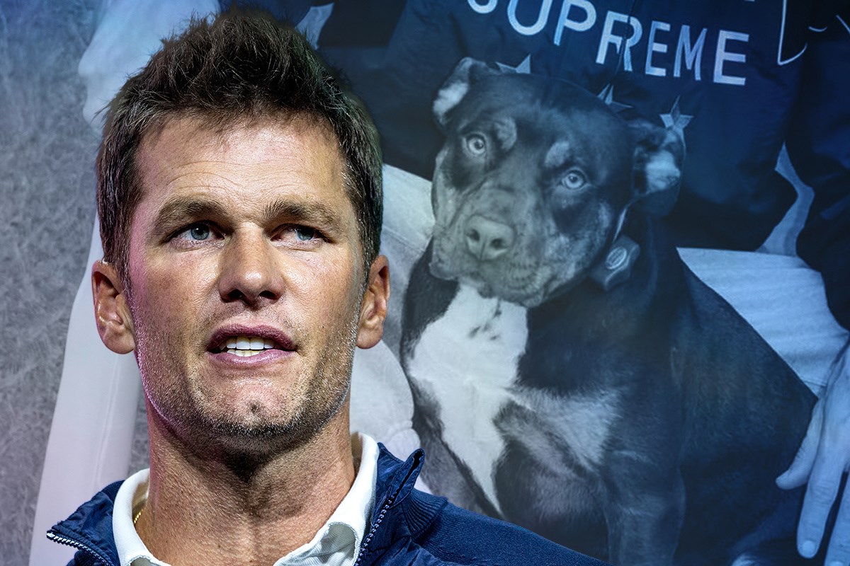 Tom Brady klonirao uginulog psa pomoću kapljice krvi