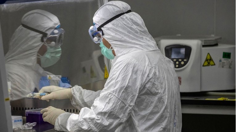 Rusija testira cjepivo protiv koronavirusa na životinjama