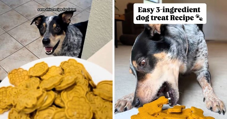 Jednostavna pseća poslastica od 3 sastojka koja je osvojila TikTok