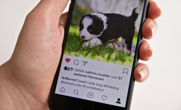 Potraga za emojijem psa na Instagramu razbjesnila korisnike, evo zašto