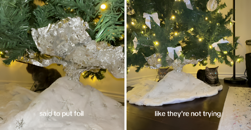 Žena podijelila trik kojim je spriječila mačka da se penje na božićno drvce