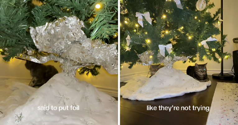 Žena podijelila trik kojim je spriječila mačka da se penje na božićno drvce