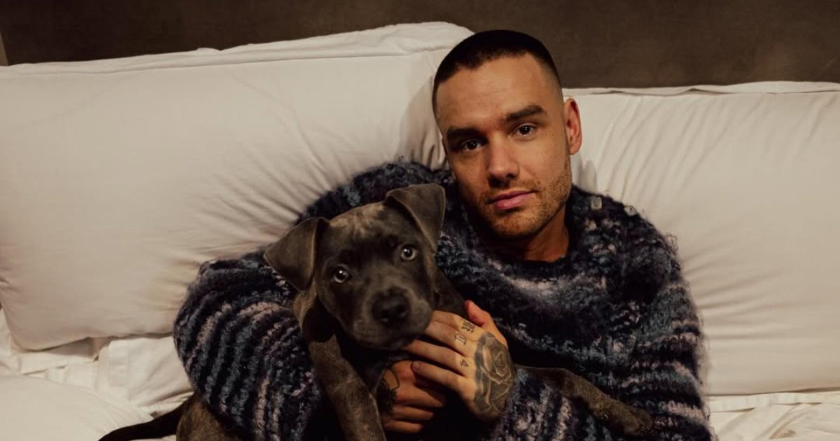 U spomen na Liama Paynea prikupljeno gotovo 290.000 eura za bolesnu djecu