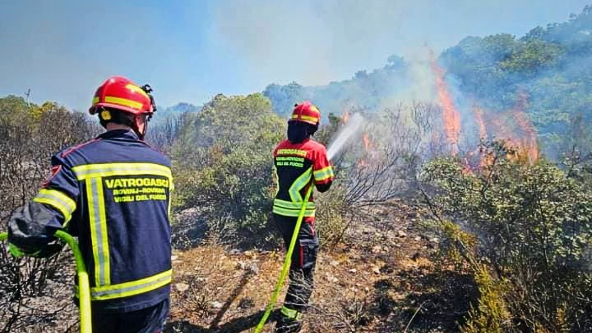 Lokaliziran požar u Istri, izgorjelo je 30 hektara trave, šume i maslina