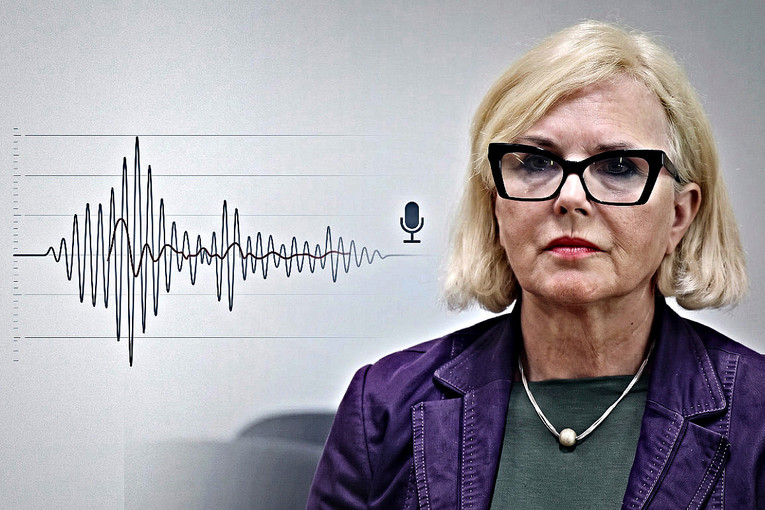 Na suđenju SDP-ovki puštene tajne snimke: "Kaj ste vi sad tako bitni u Saboru?"