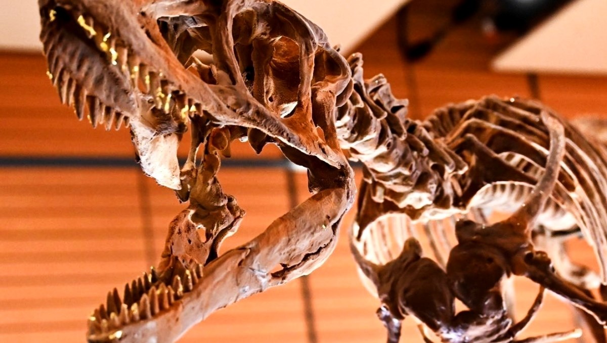 Najveći sajam čokolade na svijetu održat će se 2025. godine u Istanbulu