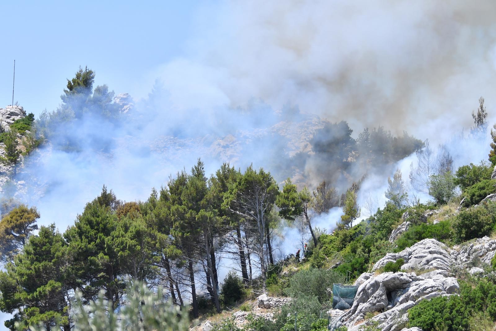 Požar iznad Makarske stavljen pod nadzor, gorjela borova šuma