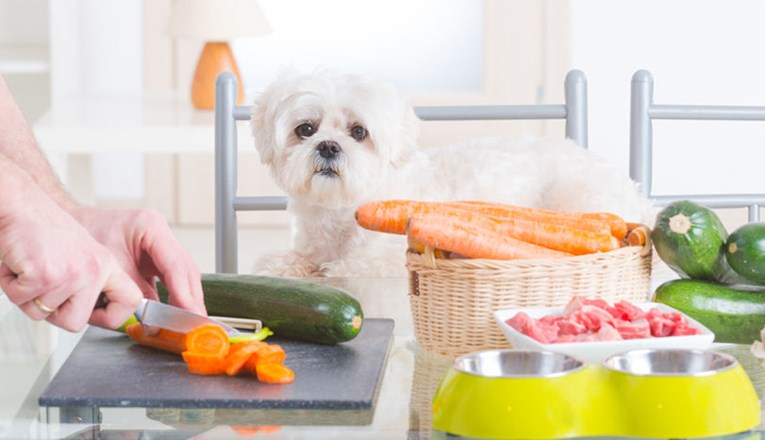 Saznajte koje je povrće sigurno za vašeg psa, a koje mu može naškoditi