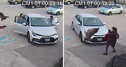 VIDEO Ženu napala guska. Bacila je stvari i sjela u auto, no životinja ušla za njom