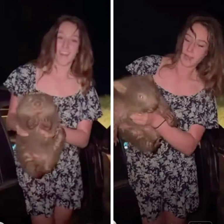 Uzela mladunče vombata od majke, siktalo joj u naručju. Snimka naljutila mnoge