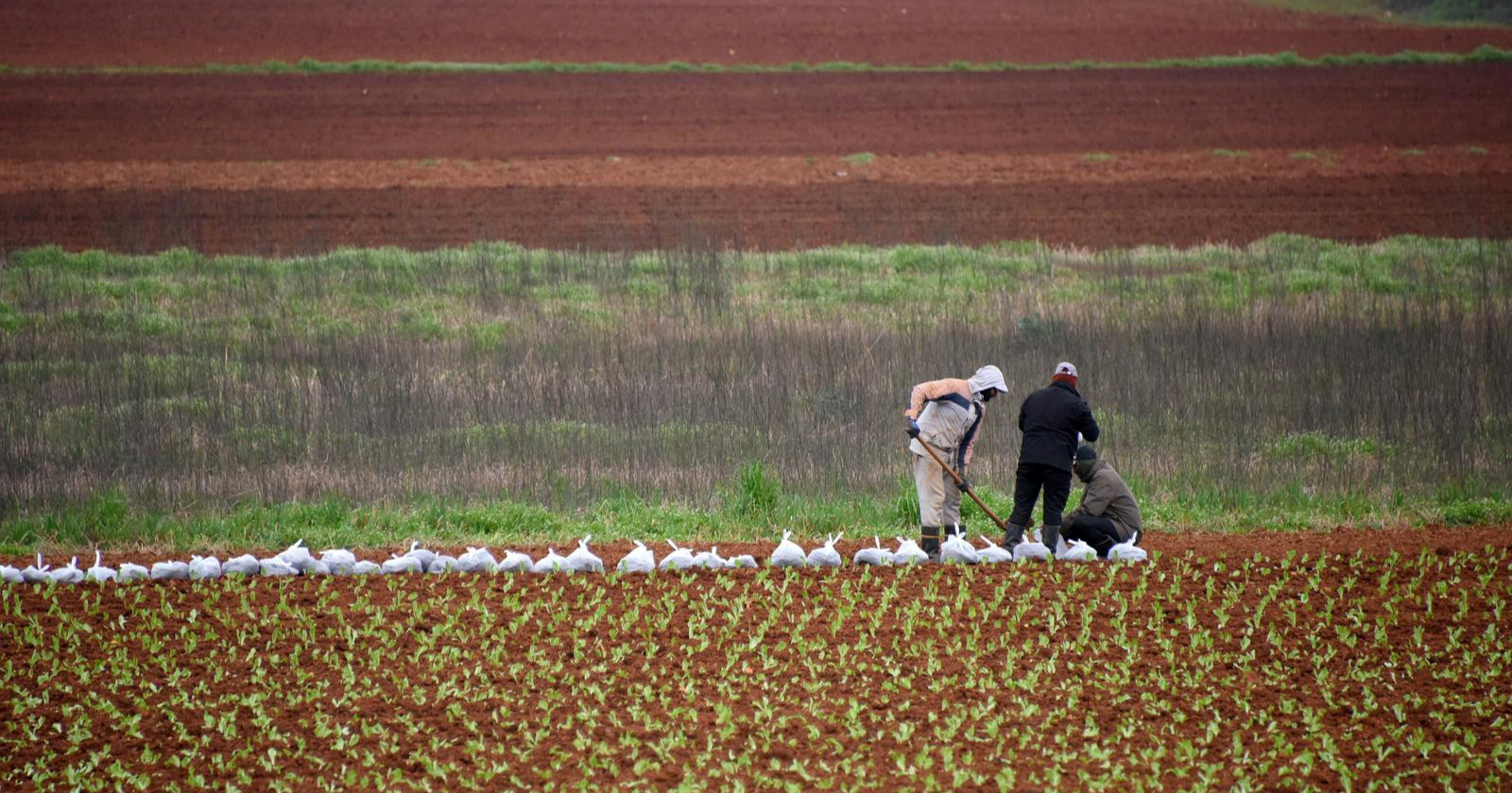 Stočar iz Primorsko-goranske županije novi je šef Hrvatske poljoprivredne komore