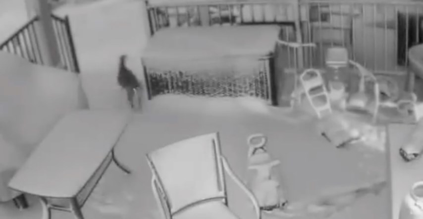 Nadzorna kamera snimila mačku koja u snježnoj oluji uživa kao nikad u životu