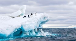 Znanstvenici: Temperature oceana obaraju toplinski rekord četvrtu godinu zaredom