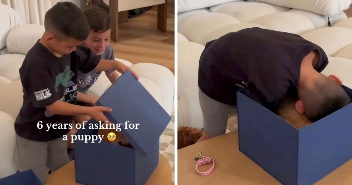 Dječak je godinama roditelje tražio psića za rođendan. Onda ga je konačno i dobio