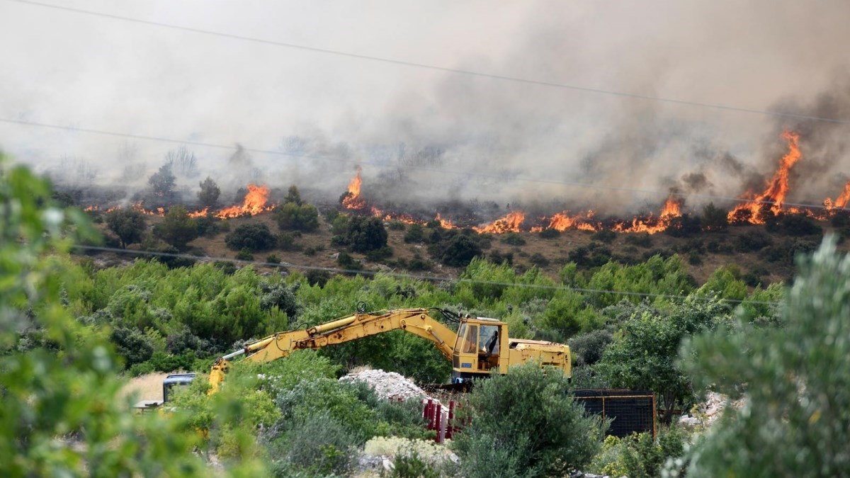 Istražili smo zašto dolazi do šumskih požara