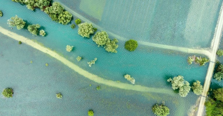 FOTO Poplavljena polja vrgoračkih jagoda, poljoprivrednici očajni