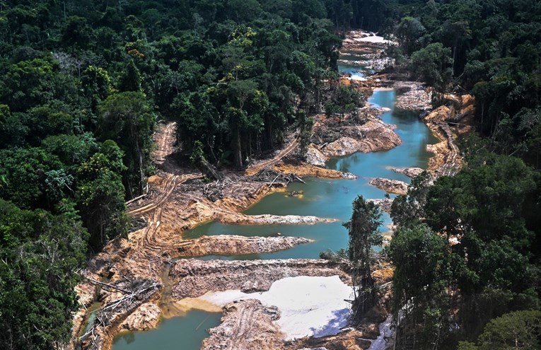 Krčenje šuma u Amazoniji veće za 14 posto u odnosu na prošlu godinu