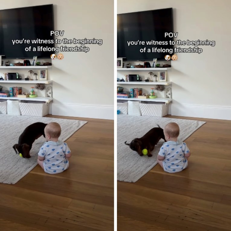 Mama je snimila prvu igru između sina i psa, slatki videozapis mami osmijeh na lice