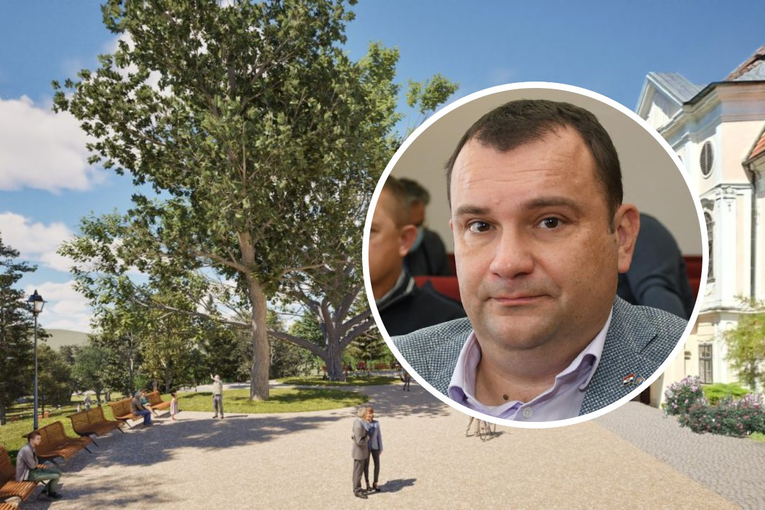 Daruvar uređuje poznati perivoj. Stižu milijuni iz EU-a