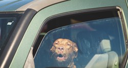 Policajac razbio prozor da bi spasio psa zatvorenog u autu
