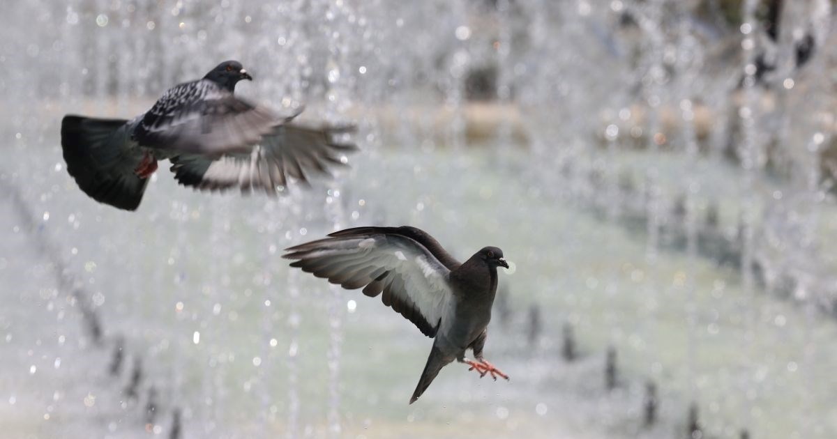 Skoro 200 država dogovorilo povećanje UN-ovog proračuna za klimu za 10 posto