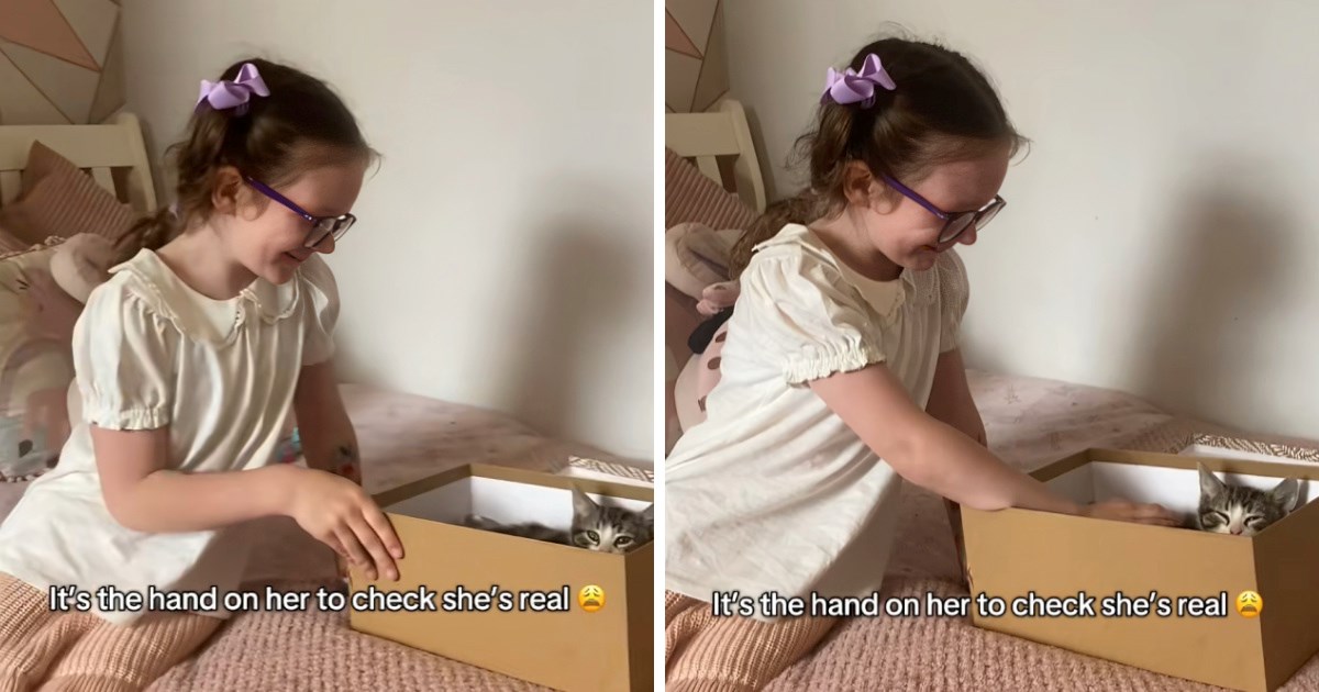 Mama kćeri nabavila mačića, ono što je prvo provjerila dirnulo je ljude