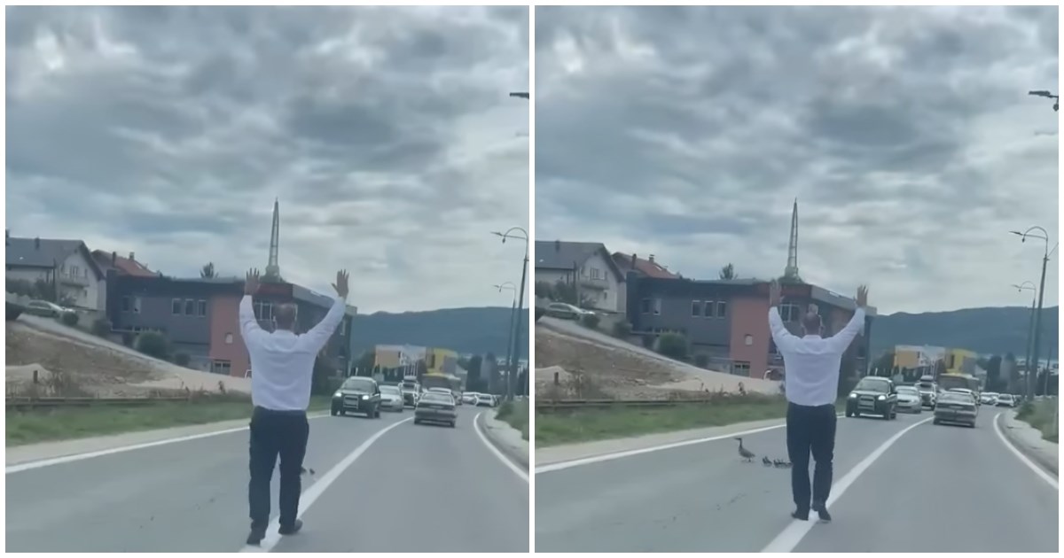 VIDEO Čovjek iz BiH zaustavio promet da bi patka s pačićima mogla proći cestom